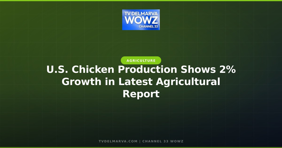 U.S. Chicken Production Shows 2% Growth in Latest Agricultural Report