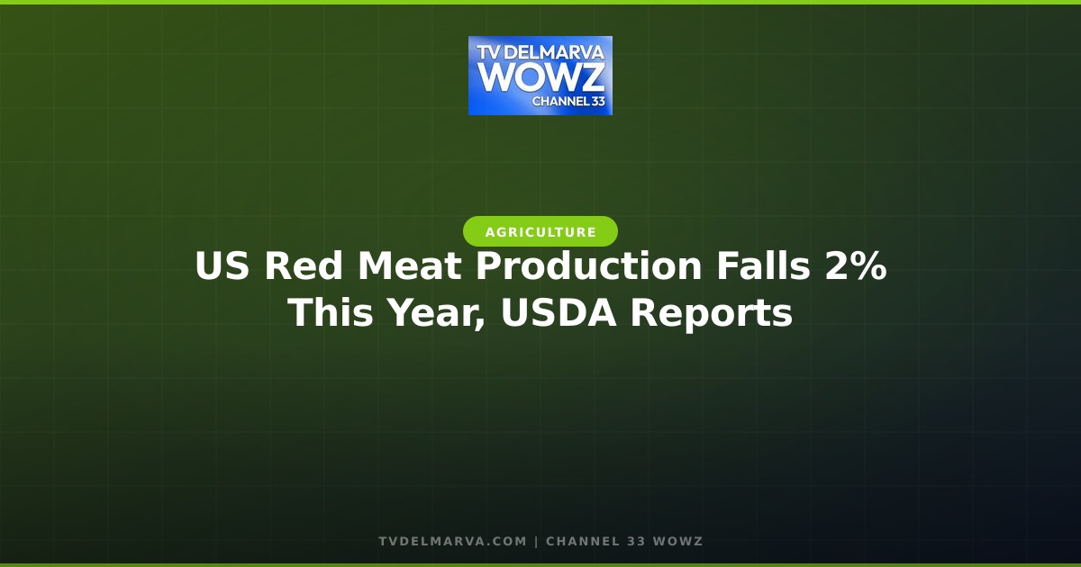 US Red Meat Production Falls 2% This Year, USDA Reports