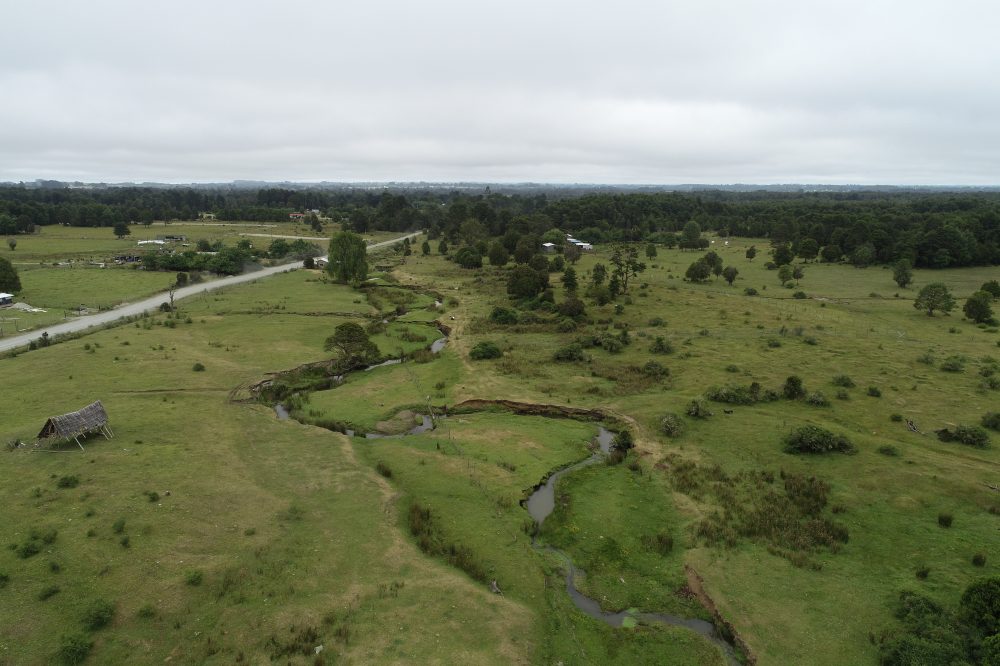 Scientists Question Age of Key Site in Human Migration to Americas
