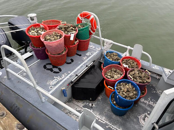 Maryland Officers Make Dozens of Winter Arrests for Hunting, Fishing Violations