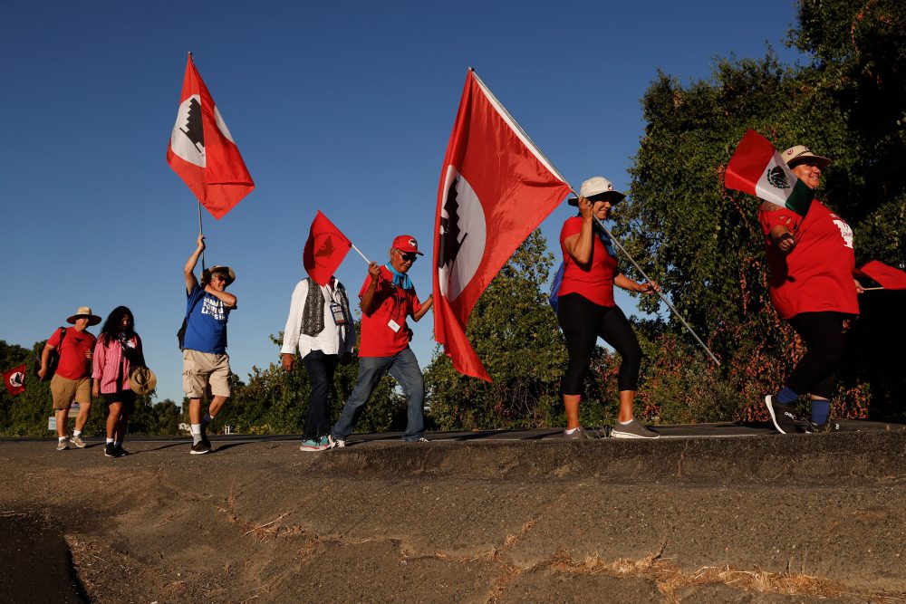 United Farm Workers Union Membership Drops Significantly Since César Chávez Era