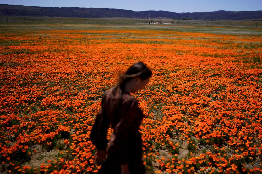 Allergy Season Arrives: Expert Tips to Combat Pollen and Find Relief