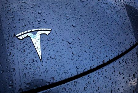 Musk Announces Plans for Massive Chip Manufacturing Complex in Texas
