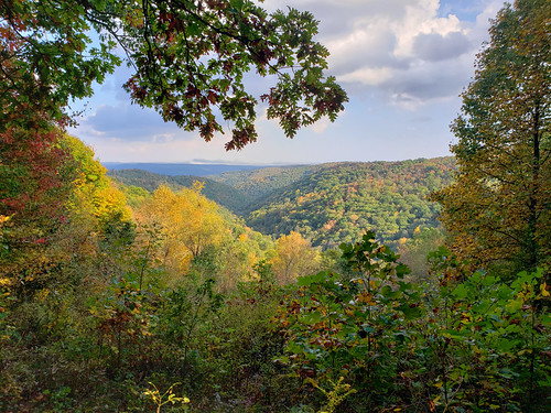 Maryland Seeks Input on 2027 Forest Management Plans for Four State Forests