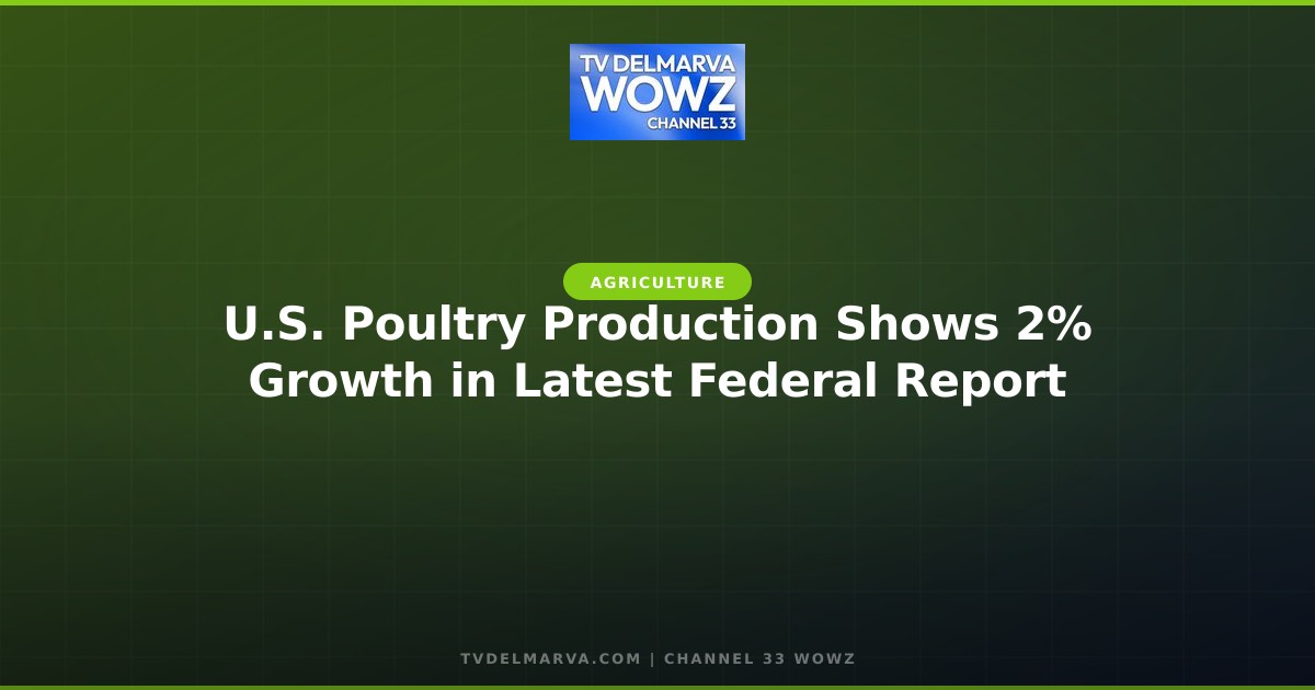 U.S. Poultry Production Shows 2% Growth in Latest Federal Report