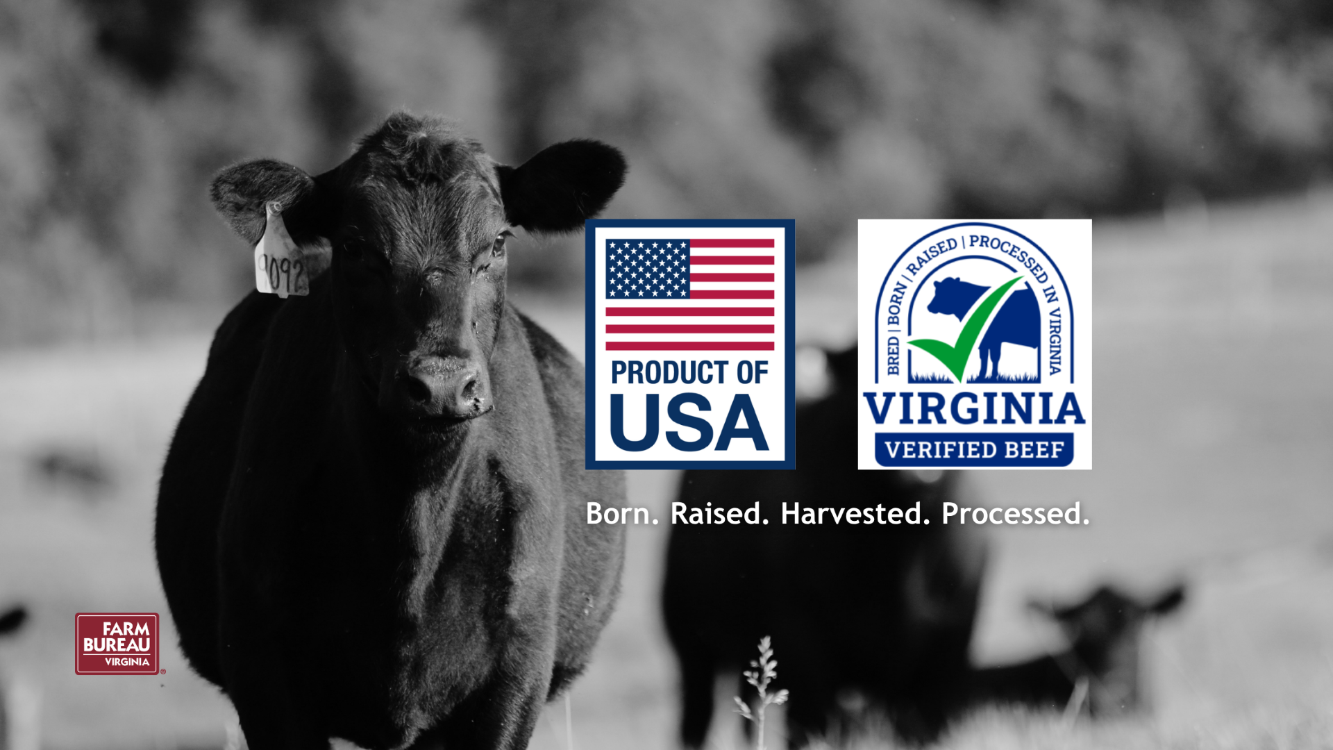 Federal Agriculture Department Rolls Out New ‘Product of USA’ Standards