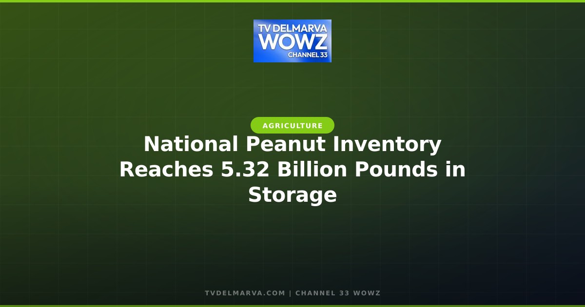 National Peanut Inventory Reaches 5.32 Billion Pounds in Storage