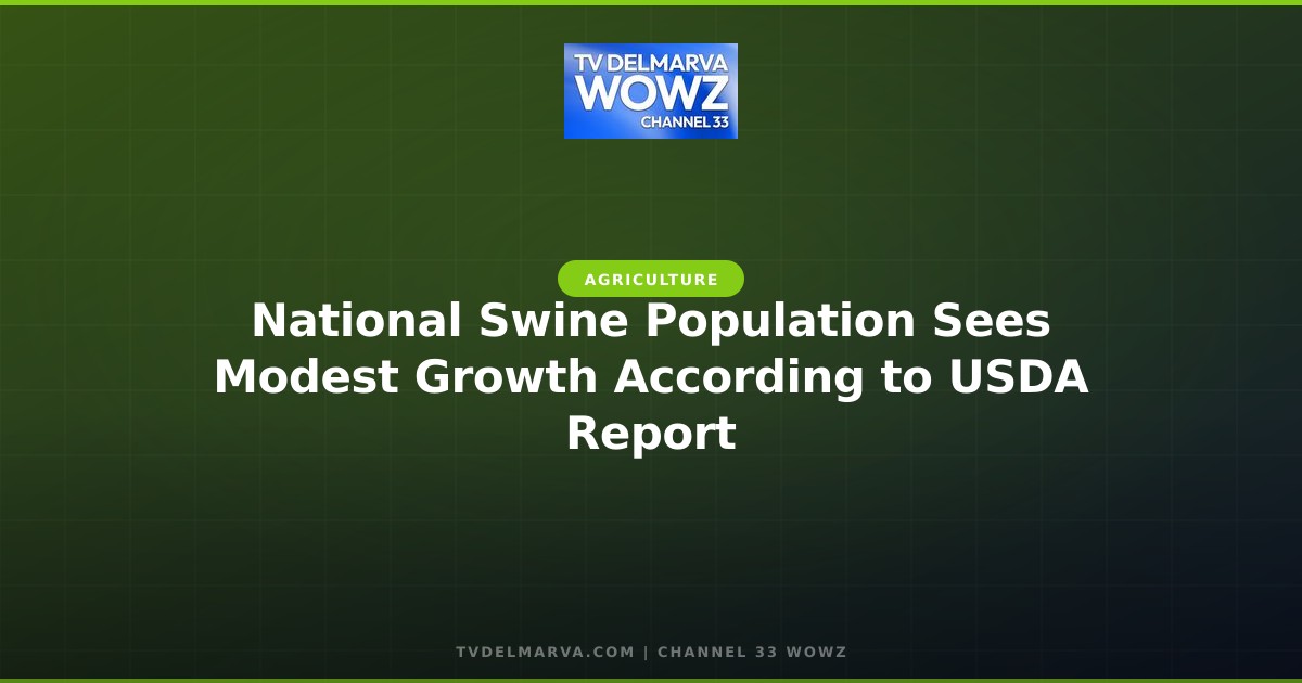 National Swine Population Sees Modest Growth According to USDA Report