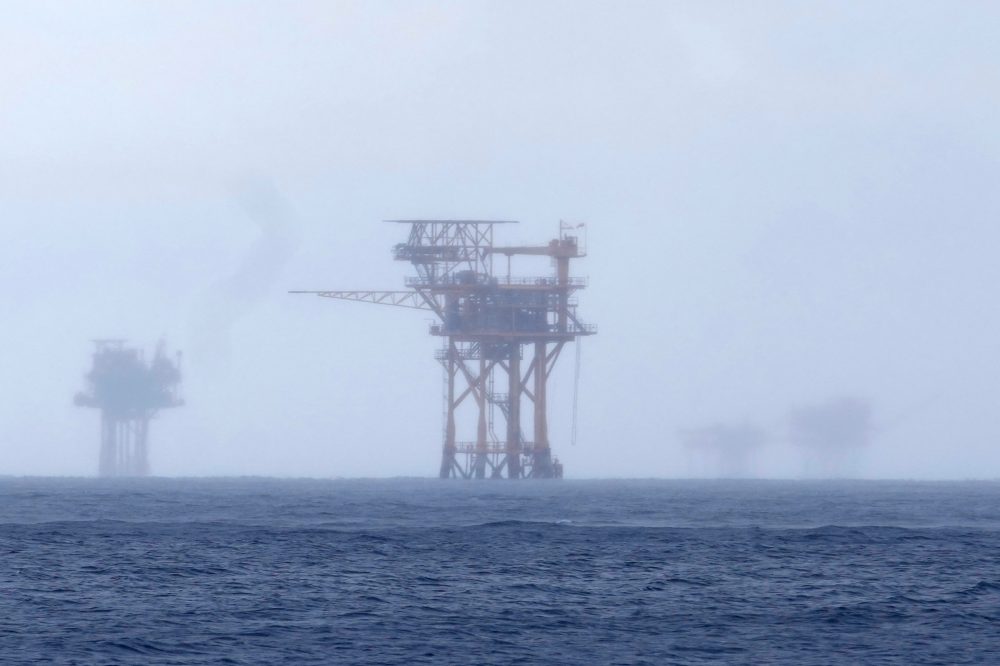 Federal Committee to Consider Gulf Drilling Exemption from Species Protection