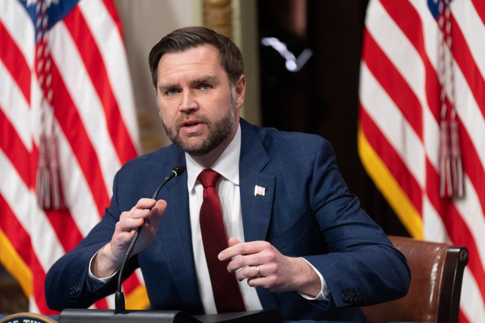 VP Vance Launches New Task Force to Combat Social Program Fraud