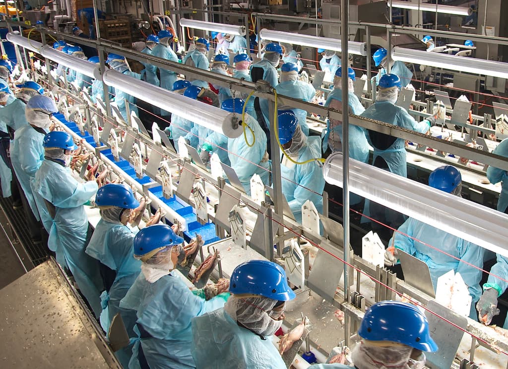 USDA Seeks Public Comment on Meat Plant Size Classifications