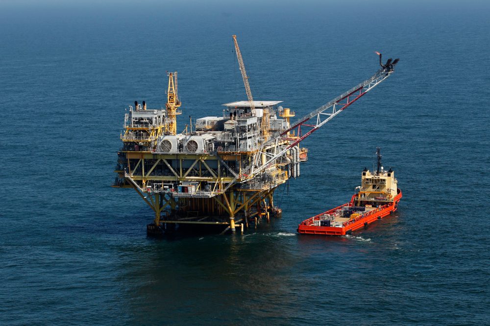 Federal Judge Allows Tuesday Meeting on Gulf Oil Drilling Species Exemption