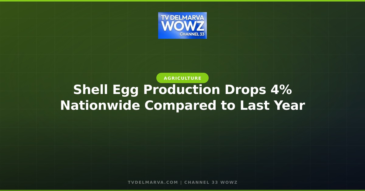 Shell Egg Production Drops 4% Nationwide Compared to Last Year