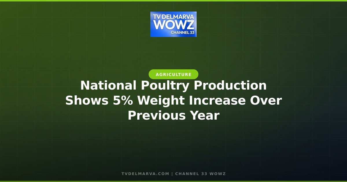National Poultry Production Shows 5% Weight Increase Over Previous Year
