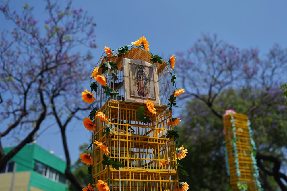 Mexican Bird Sellers Journey to Sacred Basilica for Palm Sunday Tradition