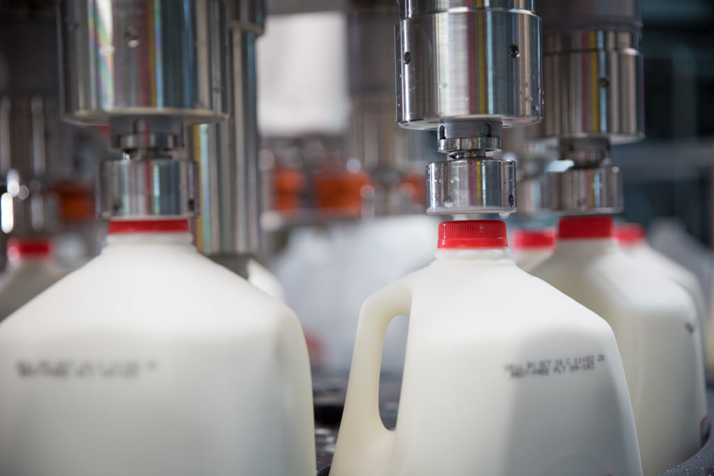 Milk and Cheese Prices Show Signs of Recovery