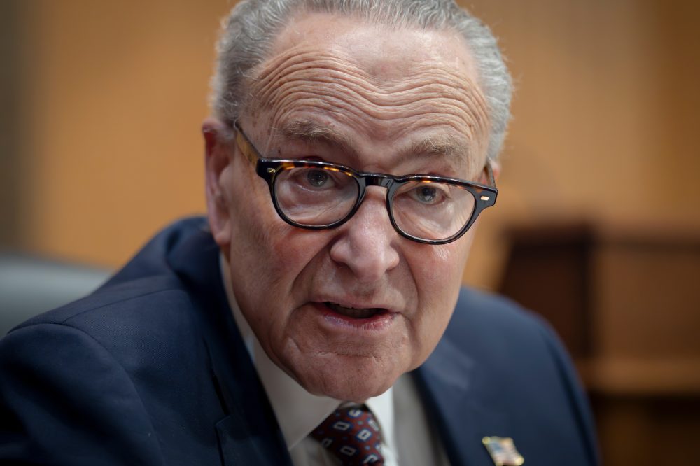 Democratic Party Split Over Senate Strategy as Schumer Faces Internal Challenge