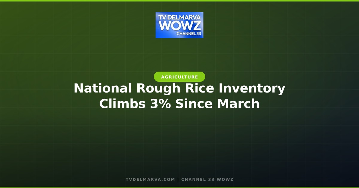 National Rough Rice Inventory Climbs 3% Since March
