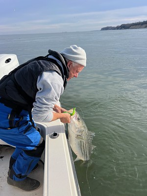 Maryland Opens April Catch-and-Release Striped Bass Season for First Time Since 2019