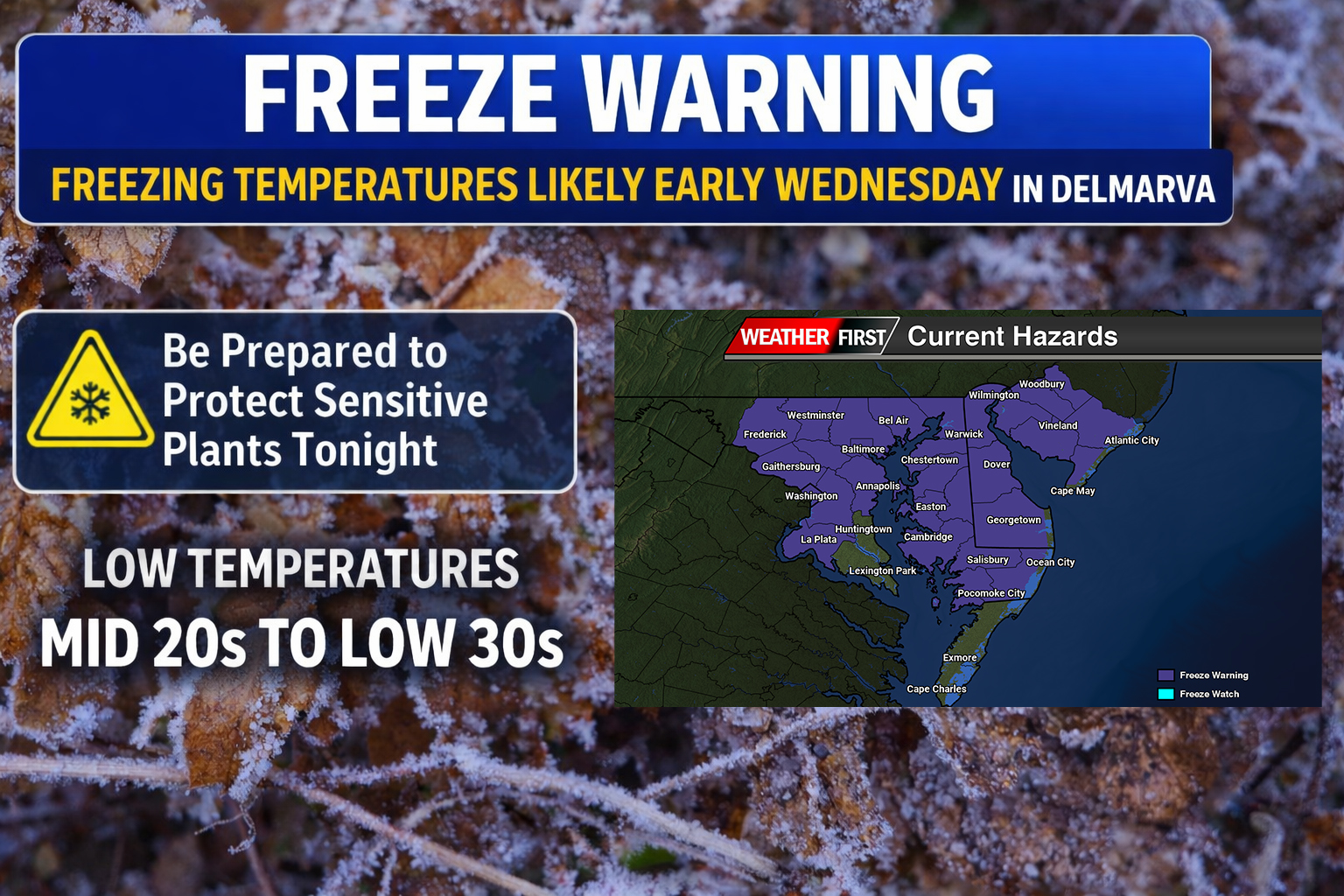Freeze Warning Issued for Delmarva as Coldest Air of the Week Arrives
