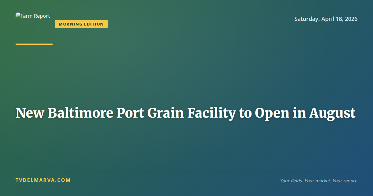 New Baltimore Port Grain Facility to Open in August