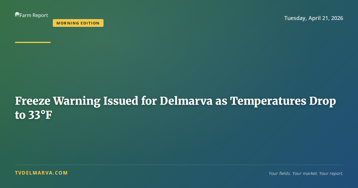 Freeze Warning Issued for Delmarva as Temperatures Drop to 33°F