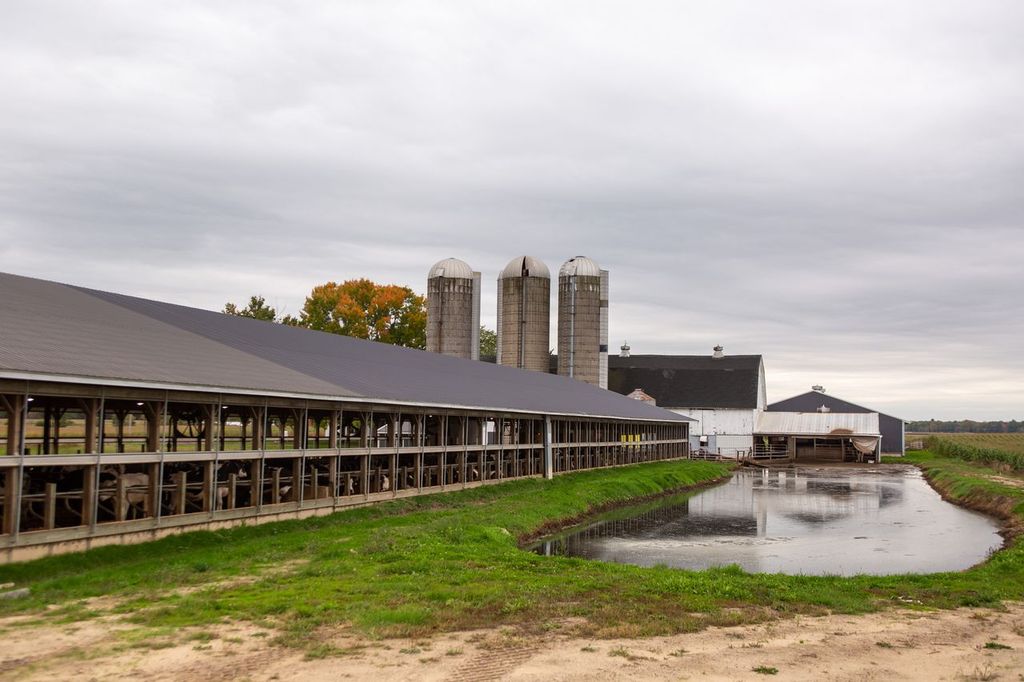 National Milk Producers Launch New Monthly Newsletter for State-Level Issues