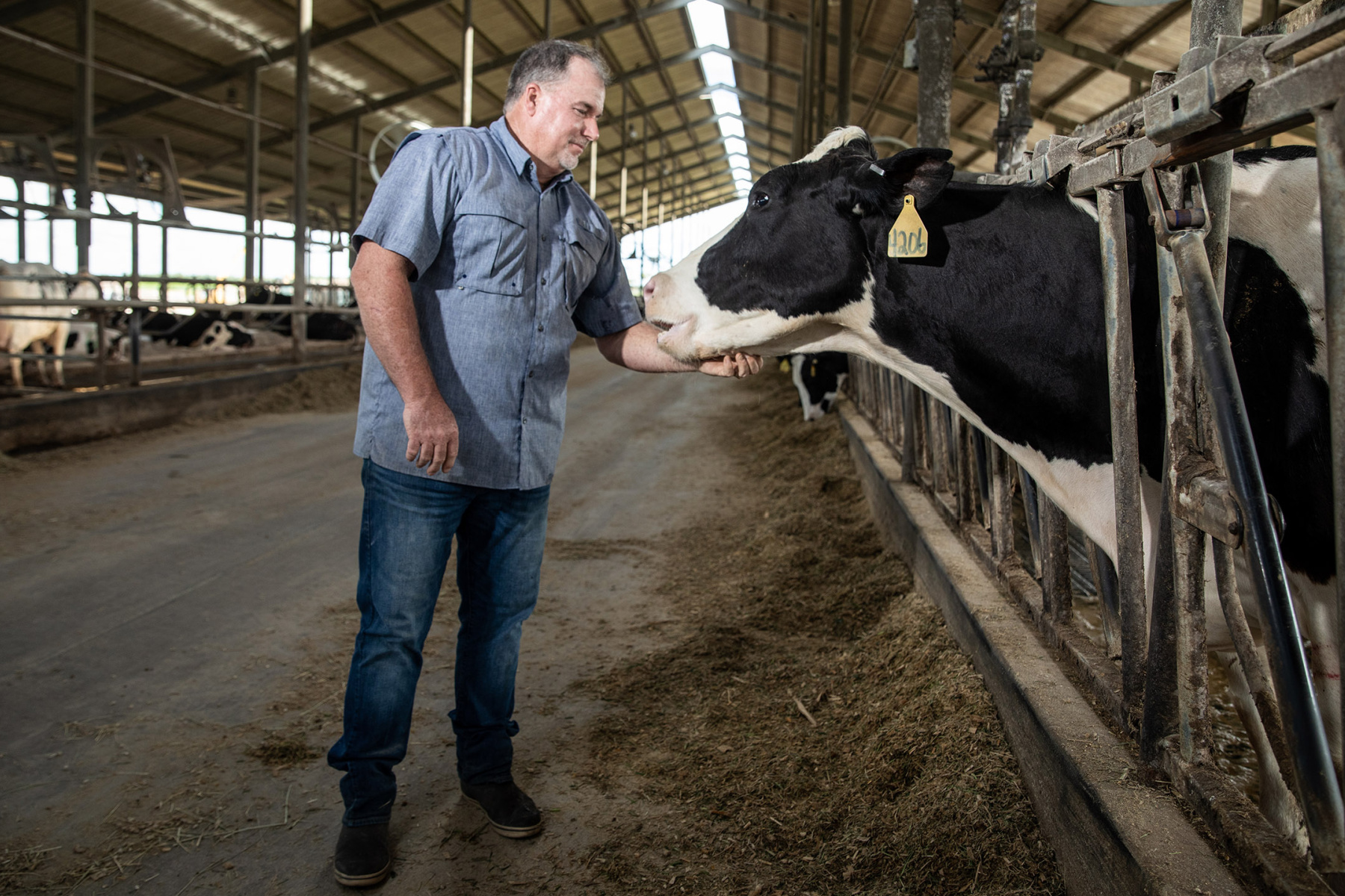 Dairy Industry Braces as Dangerous Screwworm Pest Moves Closer to US Border