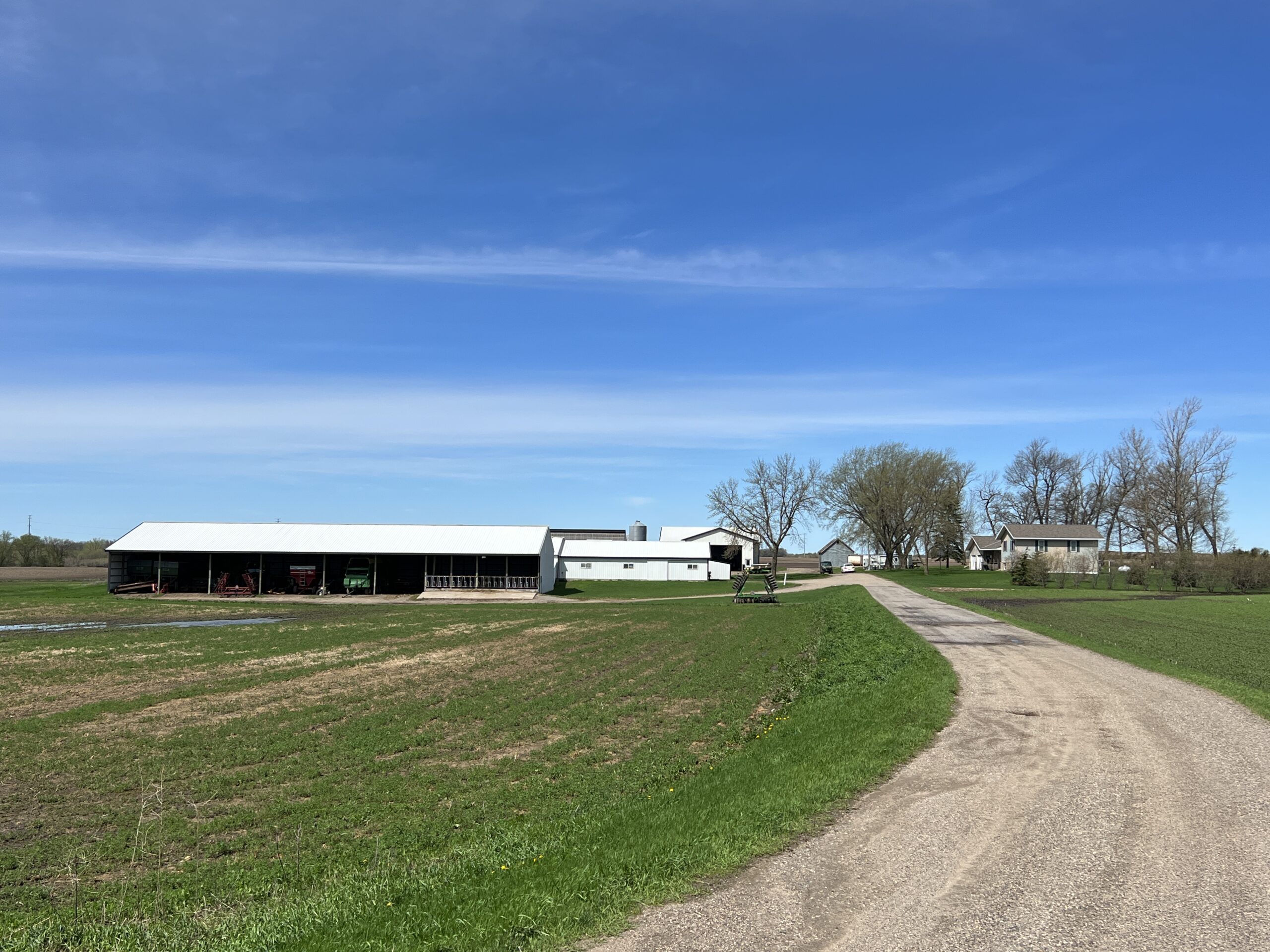 Dairy Safety Net Program Sees Higher Enrollment After Outreach Push