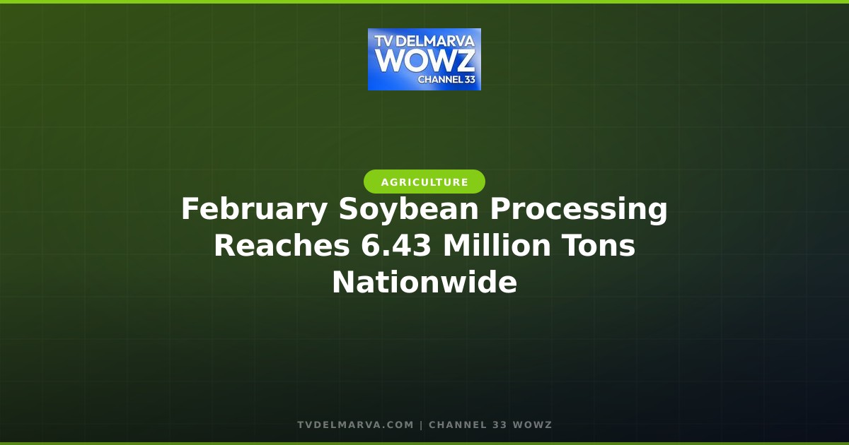 February Soybean Processing Reaches 6.43 Million Tons Nationwide