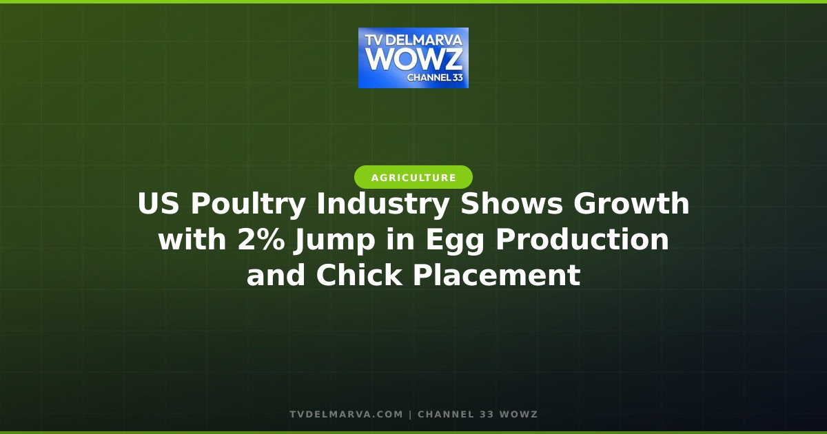 US Poultry Industry Shows Growth with 2% Jump in Egg Production and Chick Placement