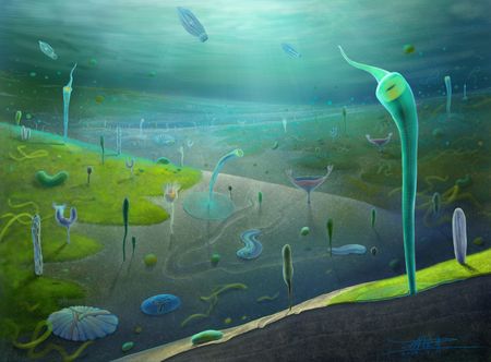 Ancient Chinese Fossils Show Animal Life Evolved Earlier Than Previously Thought