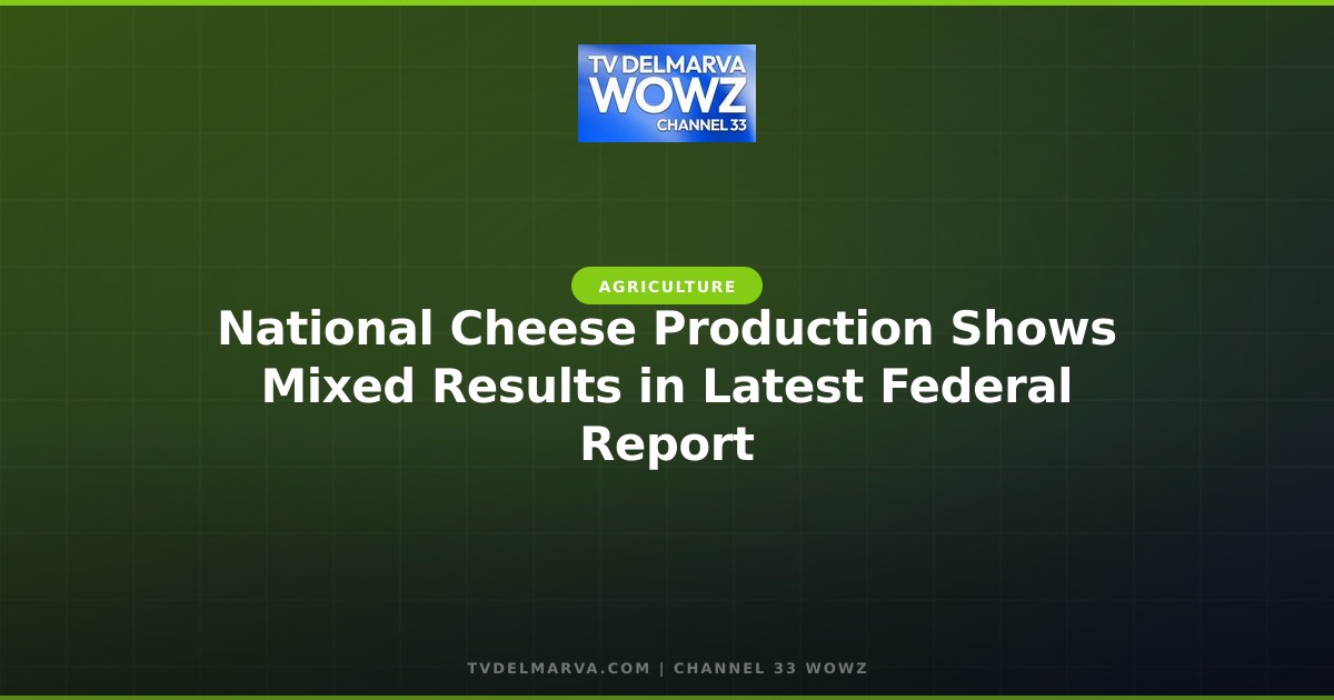 National Cheese Production Shows Mixed Results in Latest Federal Report