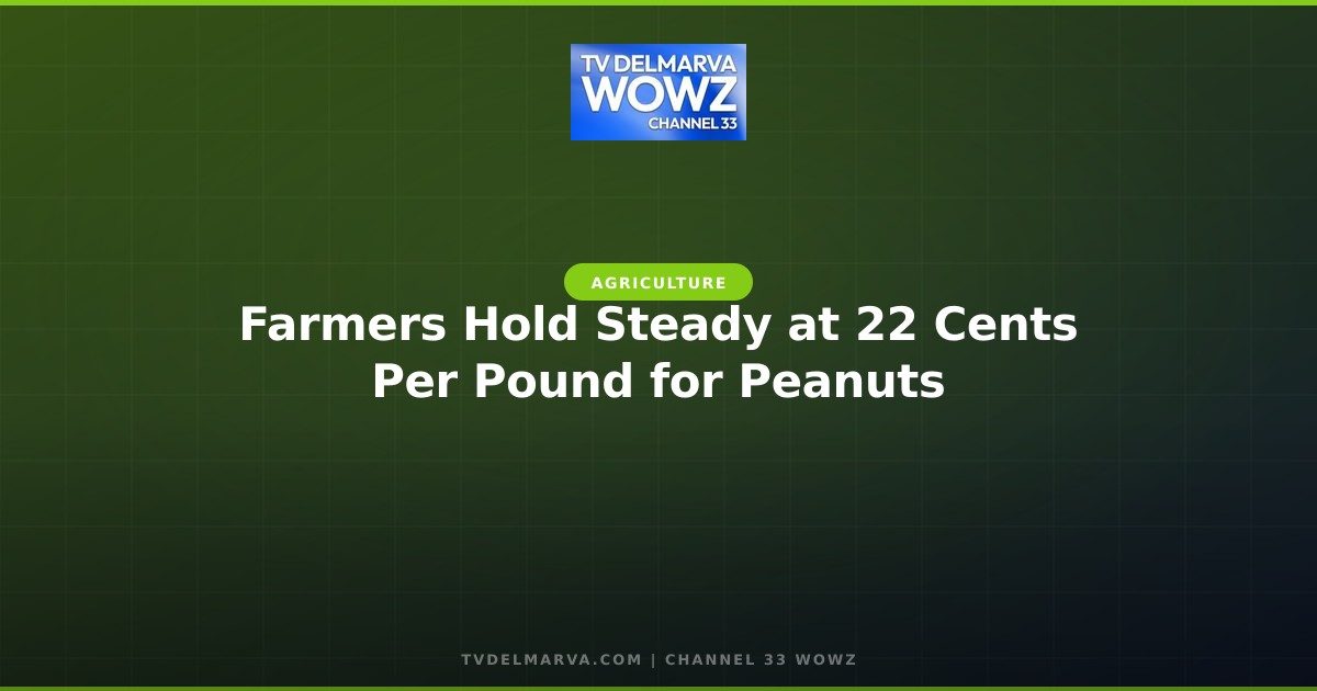 Farmers Hold Steady at 22 Cents Per Pound for Peanuts
