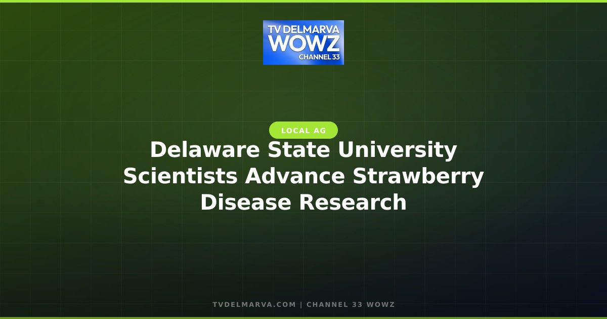 Delaware State University Scientists Advance Strawberry Disease Research