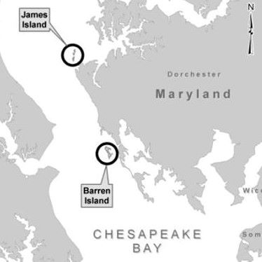 Major Chesapeake Bay Island Restoration Project Moves Forward with $39.9M Contract