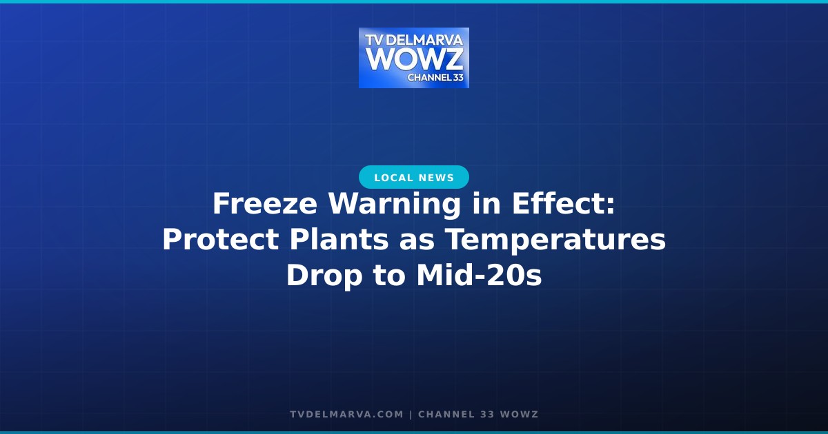 Freeze Warning in Effect: Protect Plants as Temperatures Drop to Mid-20s
