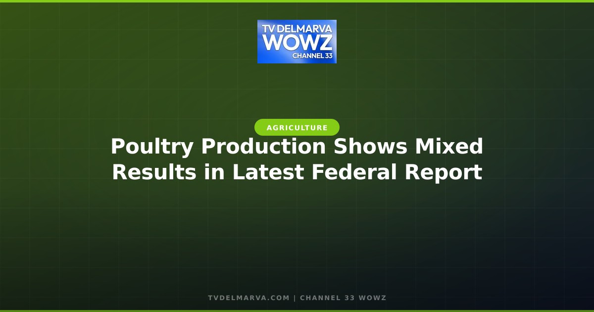 Poultry Production Shows Mixed Results in Latest Federal Report
