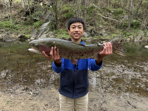 Spring Fishing Heats Up Across Maryland Waters as Striped Bass Begin Spawning