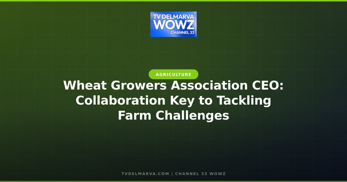 Wheat Growers Association CEO: Collaboration Key to Tackling Farm Challenges