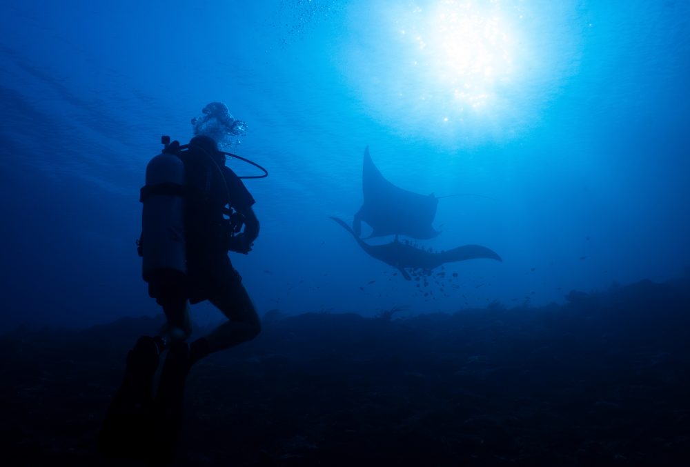 Indonesia’s Marine Paradise Faces Threat from Nickel Mining Expansion