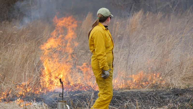 Maryland DNR Plans Controlled Burns on Eastern Shore This Spring