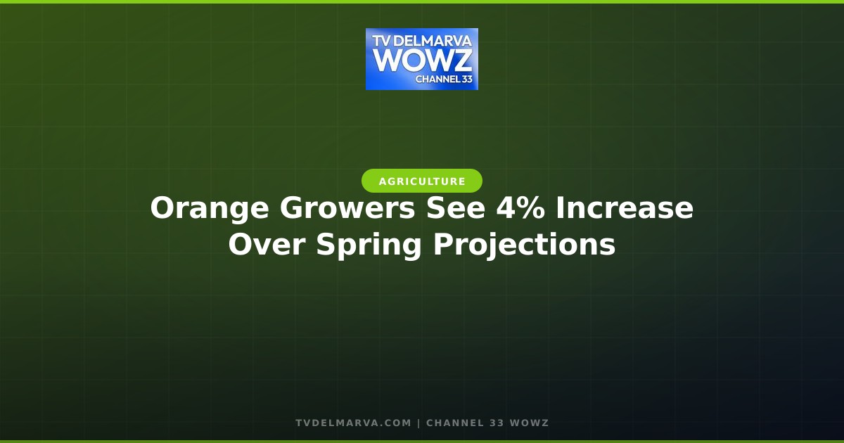 Orange Growers See 4% Increase Over Spring Projections