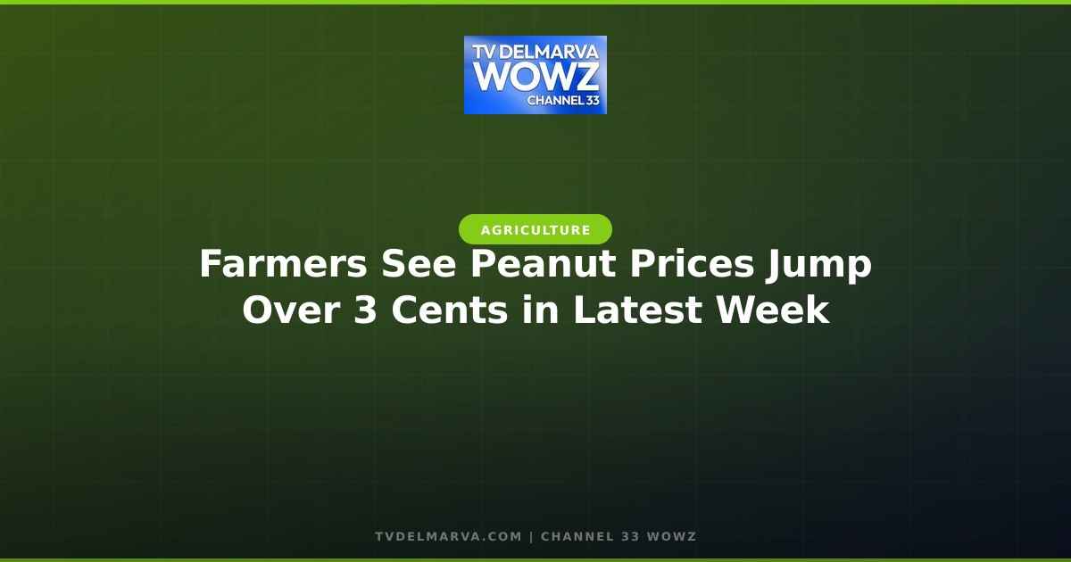 Farmers See Peanut Prices Jump Over 3 Cents in Latest Week