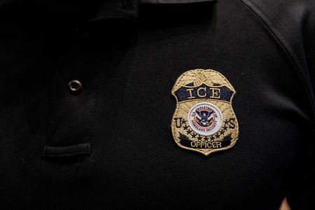 Federal Immigration Agents Launch Nationwide Birth Tourism Investigation