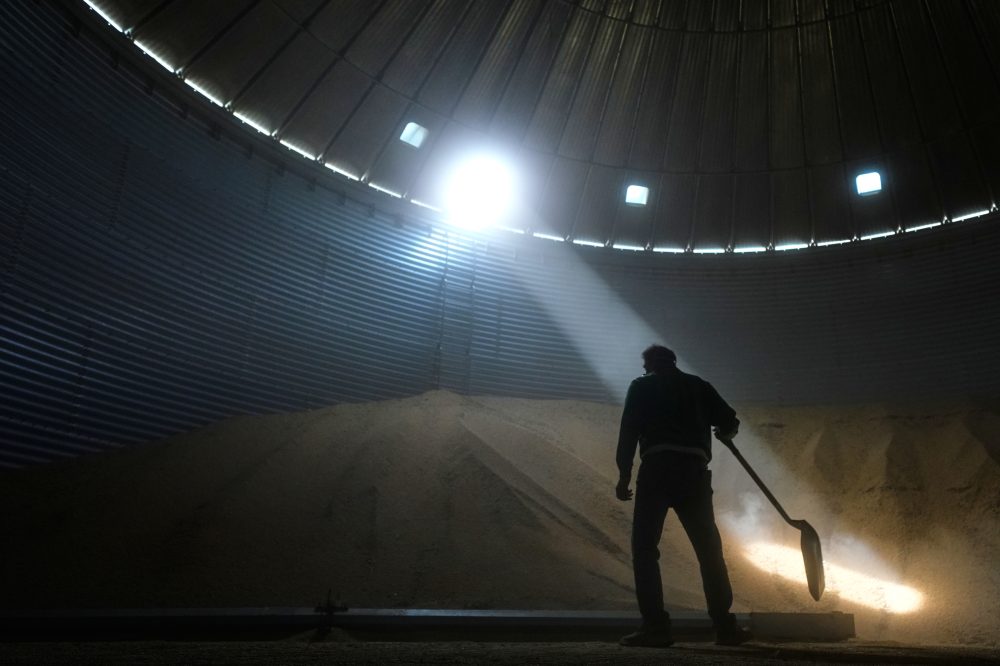 Midwest Soybean Growers Face Perfect Storm of Rising Costs, Trade Wars