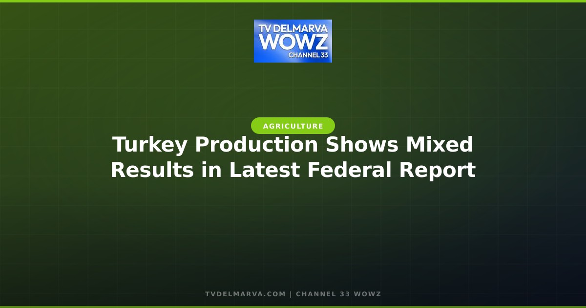 Turkey Production Shows Mixed Results in Latest Federal Report