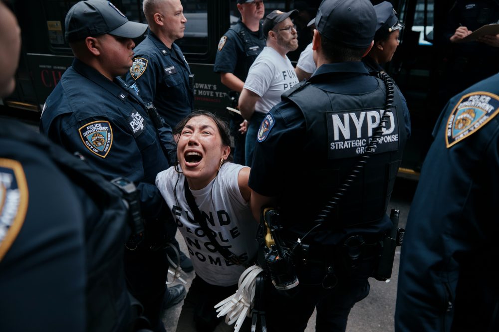 Nearly 100 Arrested in NYC Protest Targeting Senators Over Israel Arms Sales