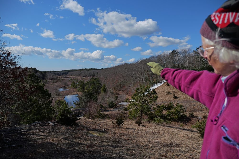 Former Massachusetts Cranberry Farm Becomes Model for Wetland Restoration