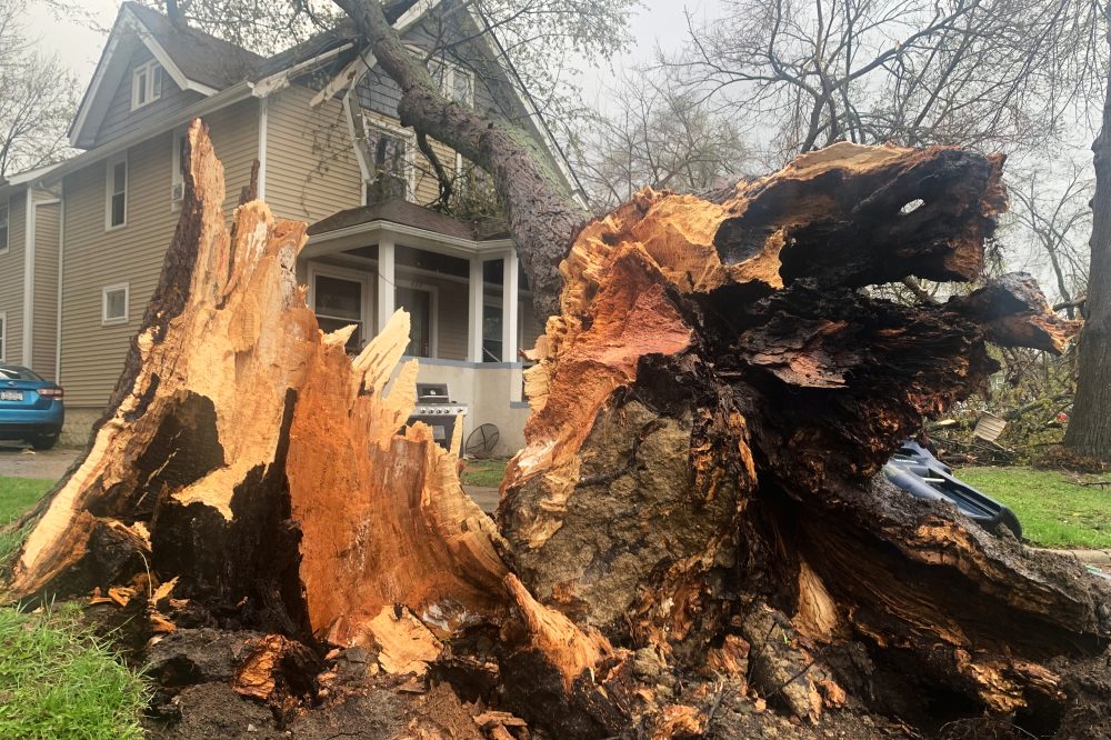 Severe Storms Tear Through Michigan, Damage Ice Rinks and Flood Streets